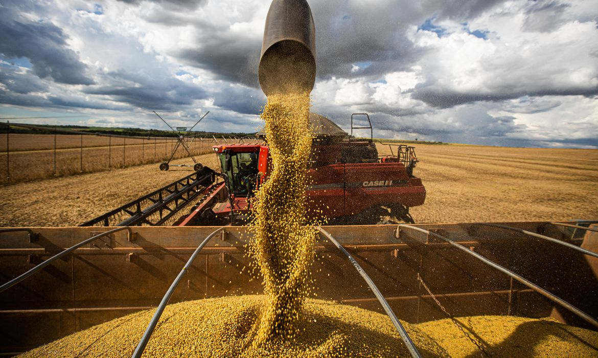 rea plantada de soja aumentou 4% na safra deste ano em Mato Grosso