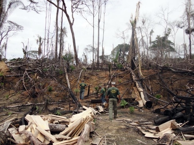 Desmatamento foi flagrado por agentes do Ibama durante operao.