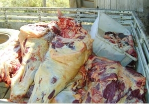 Fiscais flagraram pedaos de carne espalhados sem higiene e nem embalagens.