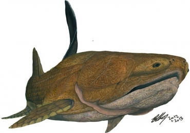 A concepo artstica mostra o Entelognathus, um velho peixe cascudo que reescreve a histria dos ossos da mandbula hu