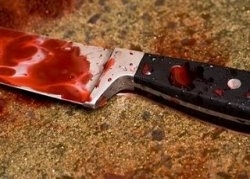 Mulher matou companheira com vrias facadas