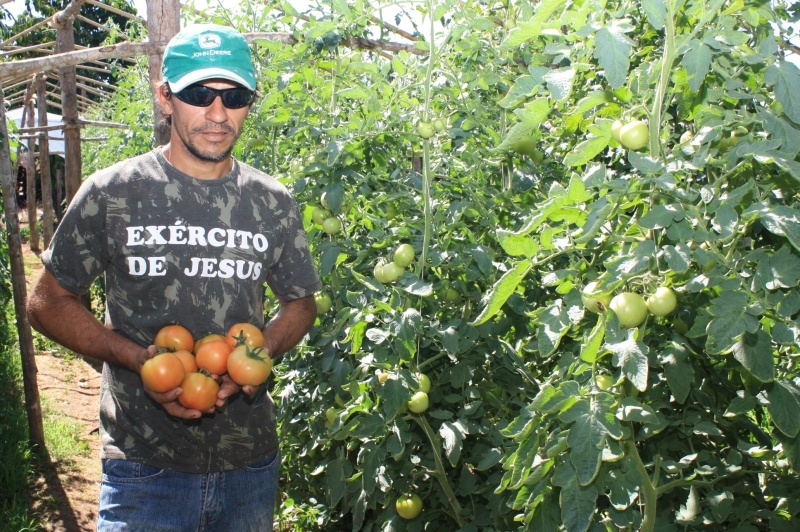 O produtor Jlio Carlos Rosa segura orgulhoso os tomates ao lado de sua produo.