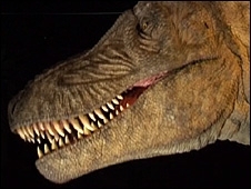 O tarbossauro robtico na exposio do Museu de Histria Natural