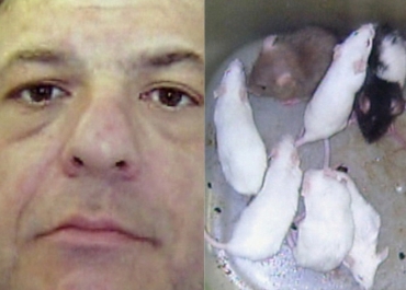  direita, imagem de Nikolas Galiatsatos, que foi acusado de espalhar animais em pizzarias concorrentes