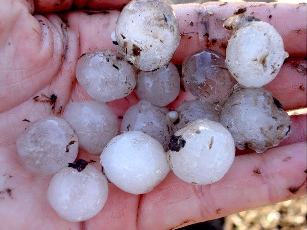 Os agricultores encontraram as pedras do temporal que atingiu a cidade em 15 de novembro