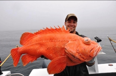 Eric Christopher Otte quebrou o recorde ao fisgar um peixe-rocha-vermelho de 18,46 quilos