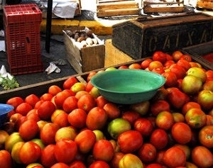 Preo do tomate, um dos viles do aumento da inflao nos meses anteriores, caiu 23,78% em maio