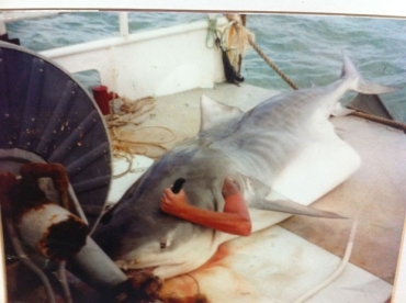 Depois de pescar tubaro, homem entrou em animal morto e tirou foto como se estivesse atacando animal por dentro