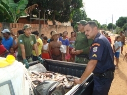 Policia Militar doa pescado apreendidos 