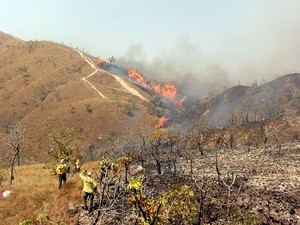 Brigadistas vo contribuir com combate ao fogo sempre que solicitados. 