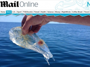 Stewart Fraser exibe a criatura pescada na costa da Nova Zelndia