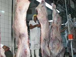 Abate de bovinos em frigorfico de Mato Grosso do  Sul