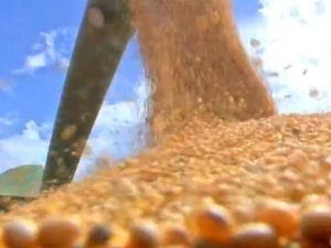 Colheita de soja em Mato Grosso