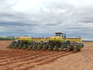 Plantio de milho comea em Mato Grosso