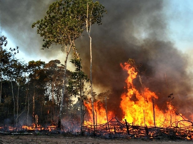 O fogo teve incio no dia 3 com a queima de roa prximo a outra aldeia