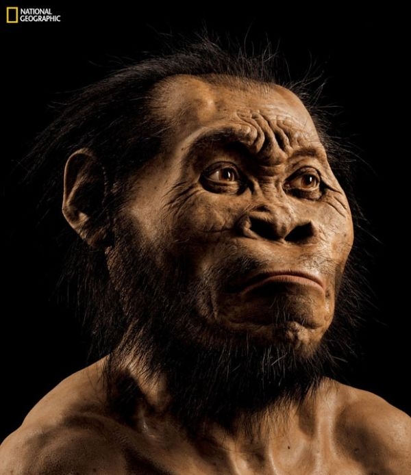 Reconstruo mostra como seria o rosto do 'Homo Naledi', como foi batizada a nova espcie identificada a partir de ossos encontrados na frica do Sul.