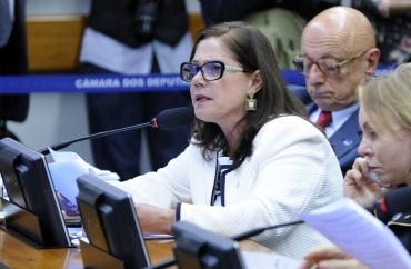 Soraya Santos defende mais rapidez na anlise de projetos de lei, j em tramitao na Casa, que tratam de segurana pblica e combate  violncia contra a mulhe