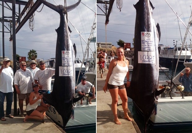Molly Palmer, de 28 anos, fisgou marlin de 5,5 metros de comprimento e 464 quilos.