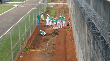 13% dos presos trabalham durante o cumprimento da pena em cadeias de MT; foto mostra trabalho dos presos na Penitenciria Ferrugem, em Sinop (Foto: Sejudh/MT)