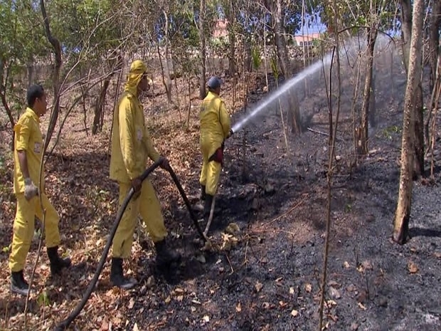 Doze homens da brigada de combate a incndio da Defesa Civil atuaram para conter as chamas.