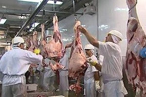 Greve afeta exportao de carne bovina na semana
