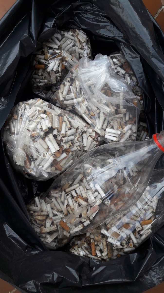 Voluntrios recolheram 5,3 mil bitucas de cigarro em uma hora no Centro de Cuiab  Foto: Teoria Verde