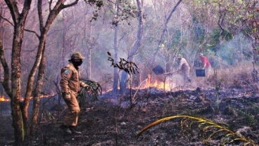 Fogo j destruiu 1,55 milho de hectares, rea equivalente a dez municpios de So Paulo