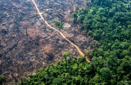 As multas foram aplicadas por danos ambientais, como desmatamento ilegal e queimadas, somente neste ano, em Mato Grosso.