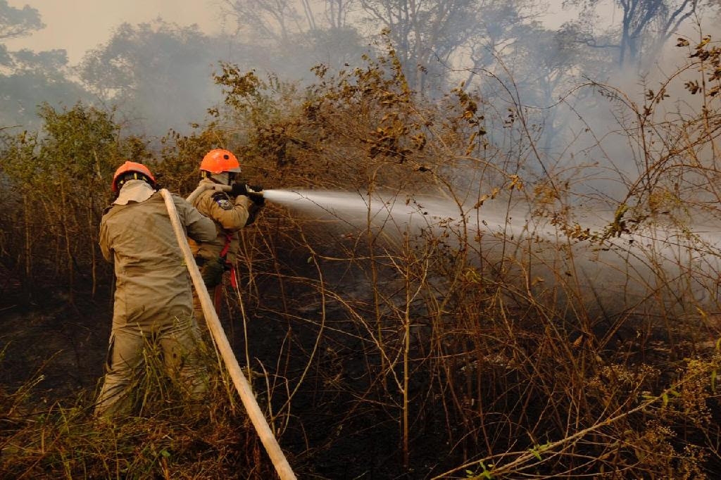 Combate aos incndios no Pantanal, em Pocon - Foto por: Mayke Toscano