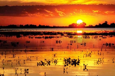 O Pantanal de MT, que teve quase um quarto de sua rea destruda pelas queimadas