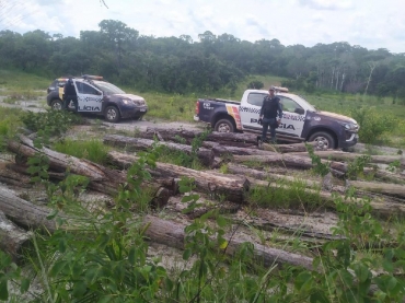 Sete homens so presos retirando madeira de rea indgena em Campinpolis (MT)  Foto: PMMT