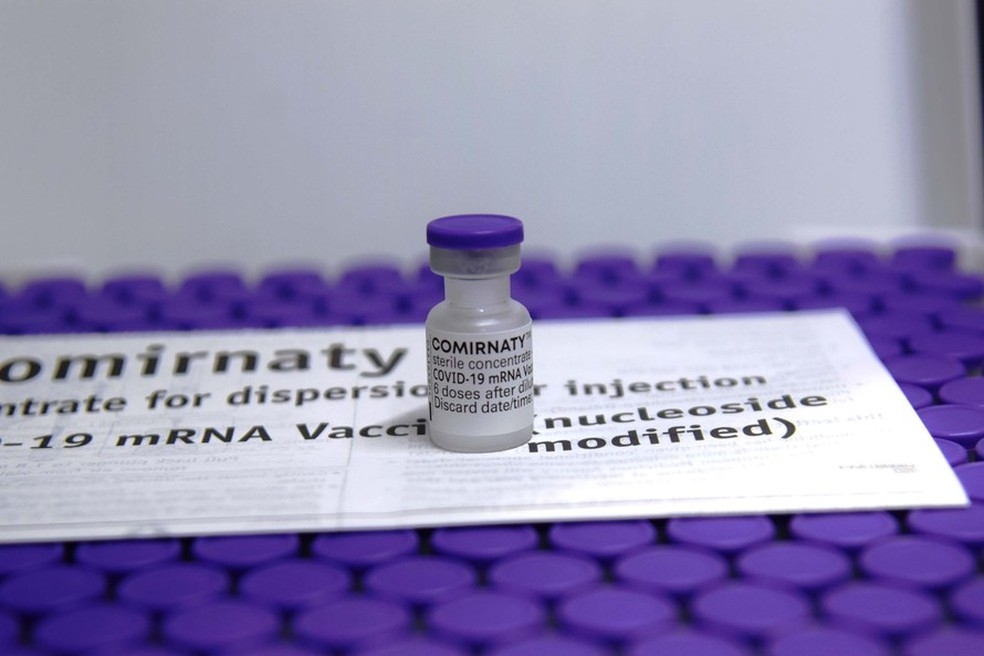 Vacina da Pfizer contra a Covid-19  Foto: Amrico Antnio/AEN