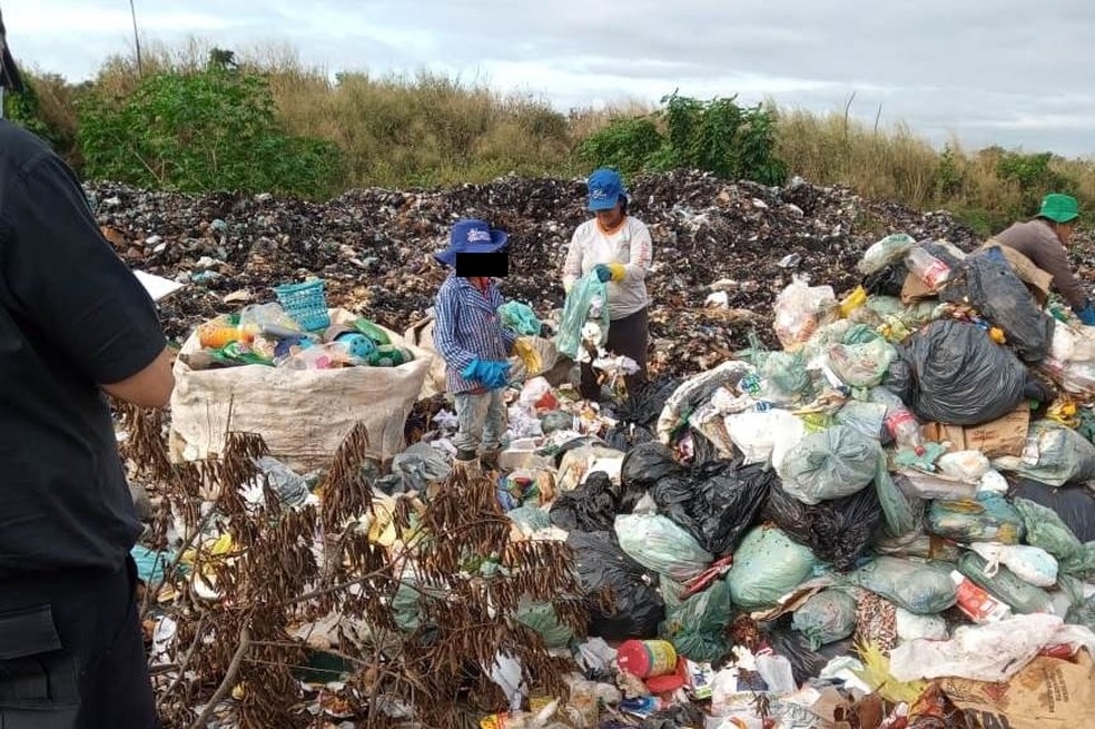 10 crianas so flagradas catando materiais reciclveis em lixes em Mato Grosso  Foto: Superintendncia Regional do Trabalho de Mato Grosso (SRT/MT)