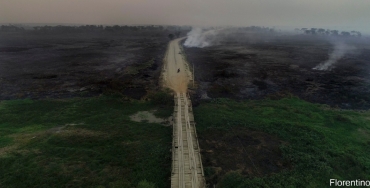 m 2020, Pantanal teve 23 mil km quadrados consumidos pelo fogo