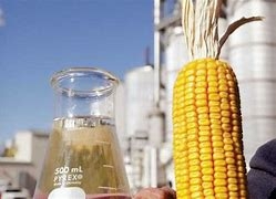 Produo de etanol de milho est em expanso em Mato Grosso