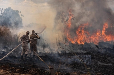 Pantanal foi atingido por fortes incndios em 2020  Foto: GOVMS/Reproduo