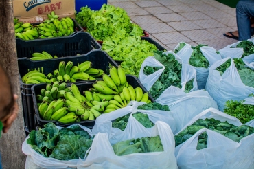 Frutas, verduras e outros alimentos produzidos  Foto: Maksuel Martins/GEA
