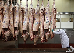 Suspenso de compras pela China pode reduzir preo da carne no Brasil