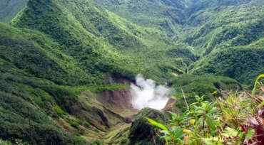 Parque Nacional Morne Trois Pitons, em Dominica, uma das florestas que emite mais carbono do que absorve