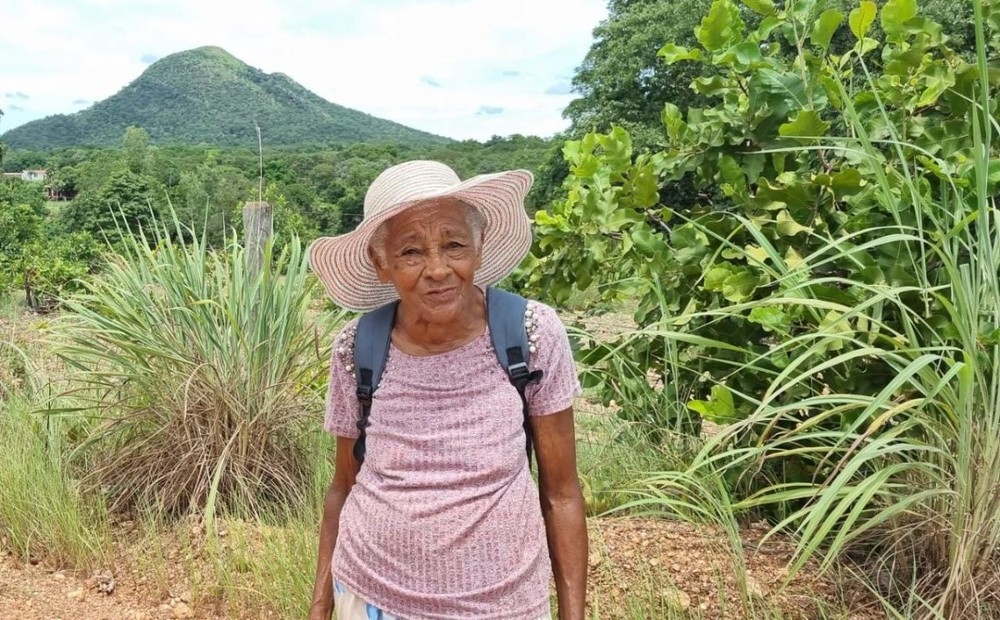 Professora aposentada de 82 anos caminhou 100 km  Foto: Arquivo pessoal