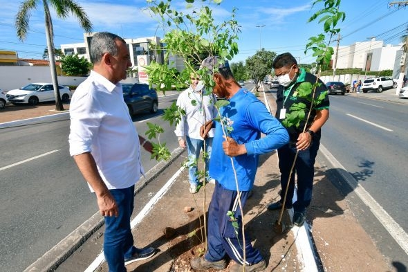 Miguel Sutil começa a receber mudas de plantas do cerrado — Foto: Davi Valle - Secom