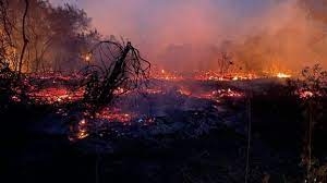 Emergência por queimadas ambientais 