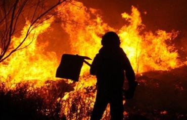 A maioria dos incndios no bioma tem origem em alguma forma de ao humana