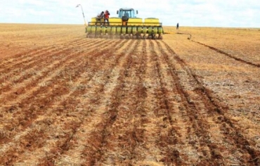 Como Brasil e Mato Grosso so grandes produtores, o efeito pode ter escala global