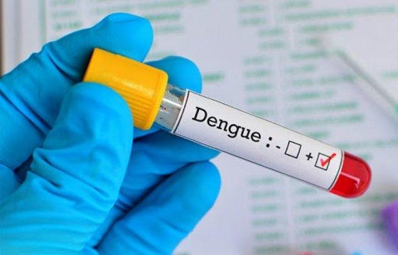 Dengue: Risco de epidemia em Primavera do Leste
