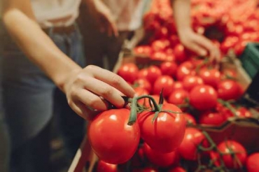 Conforme a pesquisa, os produtos que apresentaram a maior diminuio no preo foram o tomate (-14,92%), que teve o segundo declnio neste ms, e a batata (-13,72%)