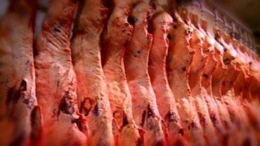 Maior parte da carne produzida em MT  consumida pelo mercado interno