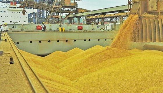 Dos mais de US$ 31,64 bilhes da pauta mato-grossense, o complexo soja respondeu por 59,65% do faturamento