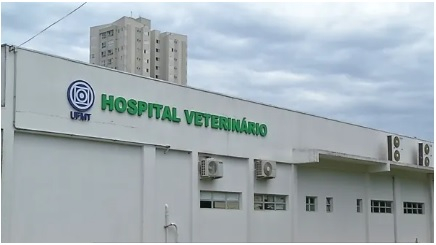 Hospital Veterinrio de Sinop no receber mais animais silvestres resgatados  Foto: Reproduo
