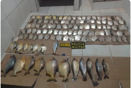 Cerca de 58 kg de pescado ilegal  apreendido em MT  Foto: PM/MT